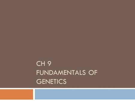 CH 9 FUNDAMENTALS OF GENETICS. Genetics  What is it? Define it in your notebook with a partner.  Field of biology devoted to understanding how characteristics.