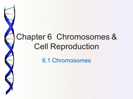 Chapter 6 Chromosomes & Cell Reproduction 6.1 Chromosomes.