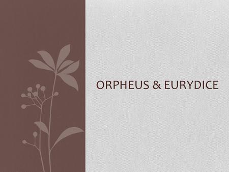 ORPHEUS & EURYDICE. Orpheus o Musically talented o Said to be son of Thracian prince and Muse Calliope o Sailed with Jason on the Argo o Saved the heroes.