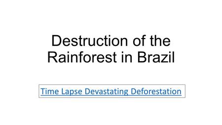 Destruction of the Rainforest in Brazil Time Lapse Devastating Deforestation.