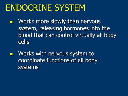 ENDOCRINE SYSTEM Works more slowly than nervous system, releasing hormones into the blood that can control virtually all body cells Works more slowly than.