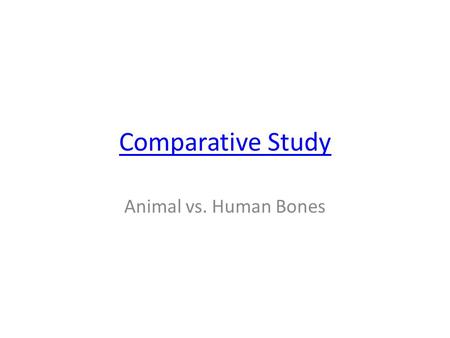 Comparative Study Animal vs. Human Bones. Cranium Human Small face Large bulbous vault (brain space) U-shaped mandible Animal Large face Small bulbous.