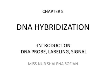 DNA PROBE, LABELING, SIGNAL