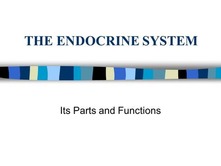 THE ENDOCRINE SYSTEM Its Parts and Functions. pp. 604-605 1.Write heading ENDOCRINE SYSTEM at top of page. 2.Define: Endocrine system Endocrinology Endocrine.
