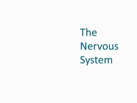 The Nervous System. Functions of the Nervous System Figure 7.1.