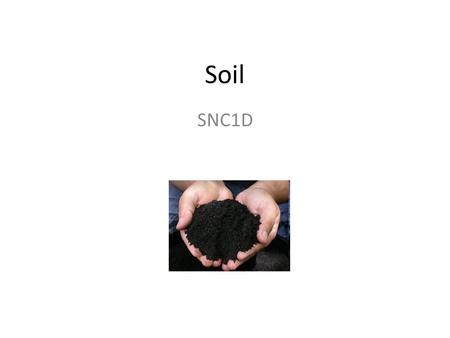 Soil SNC1D. Sand, Silt, and Clay The mineral part of soil is pieces of broken-down rocks. Largest pieces are sand, small pieces are clay, and the intermediate.