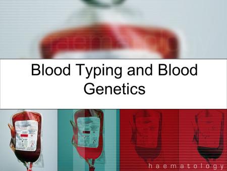 Blood Typing and Blood Genetics. Blood Genetics The human ABO gene is on chromosome 9.human ABO gene Everyone has two copies of chromosome 9 so you have.