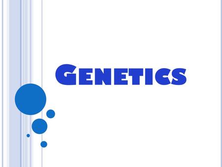 G ENETICS. Genetics is the study of heredity G REGOR M ENDEL (1822 – 1884) Recognized as the “Father of Genetics” An Austrian monk Tended to the gardens.