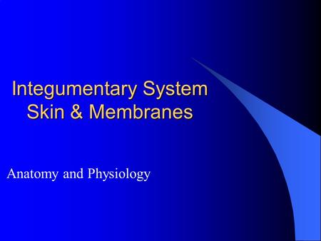 Integumentary System Skin & Membranes Anatomy and Physiology.
