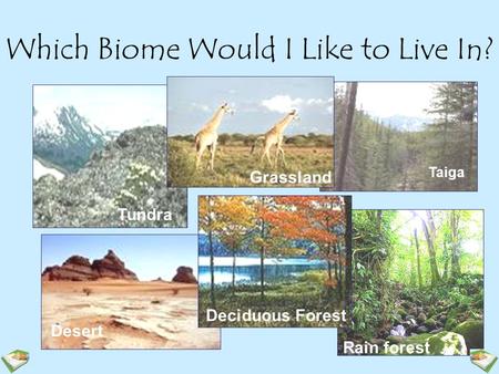 Which Biome Would I Like to Live In?