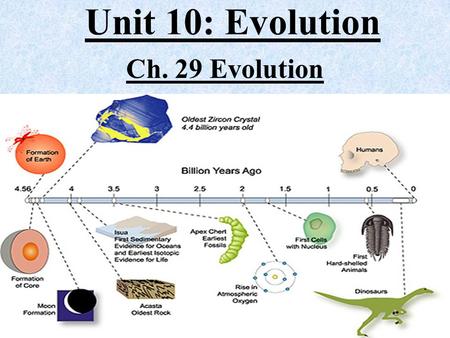 Unit 10: Evolution Ch. 29 Evolution. History of Earth Earth ~4.6 billion years old –early Earth hostile environment –volcanoes, lightning, meteorites,