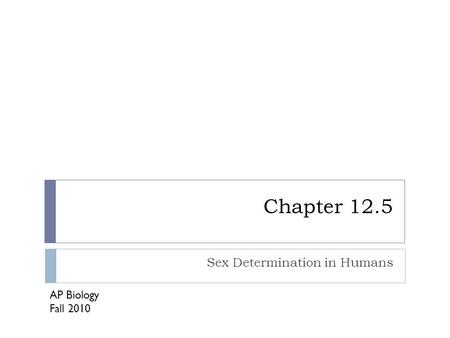 Chapter 12.5 Sex Determination in Humans AP Biology Fall 2010.