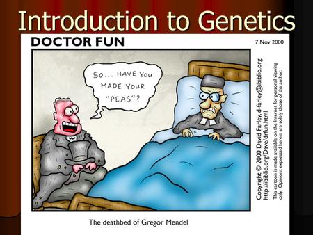 Introduction to Genetics. The work of Gregor Mendel The work of Gregor Mendel Austrian monk who is the father of Genetics Genetics – the scientific.