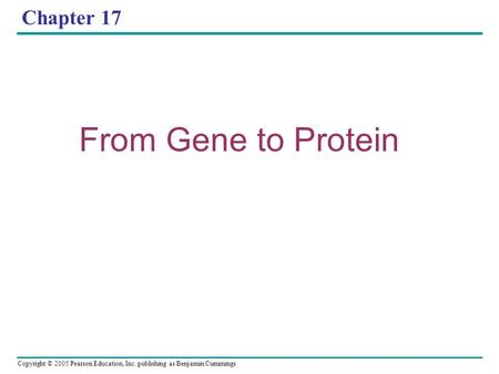 Copyright © 2005 Pearson Education, Inc. publishing as Benjamin Cummings Chapter 17 From Gene to Protein.