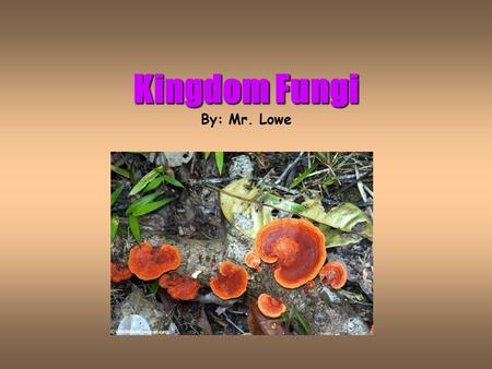 Kingdom Fungi Kingdom Fungi By: Mr. Lowe Important New Vocabulary Hyphae = Mass of many-celled, threadlike tubes forming the body of a fungus. Spores.