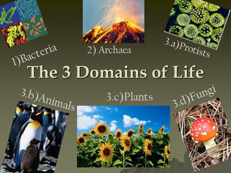 The 3 Domains of Life 3.d)Fungi 3.c)Plants 1)Bacteria 3.b)Animals 3.a)Protists 2) Archaea.