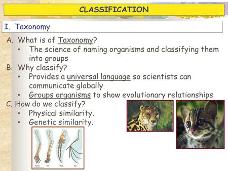 A.What is of Taxonomy? The science of naming organisms and classifying them into groups B.Why classify? Provides a universal language so scientists can.