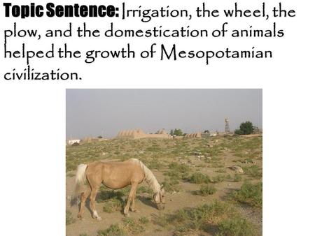 Topic Sentence: Irrigation, the wheel, the plow, and the domestication of animals helped the growth of Mesopotamian civilization. 1.