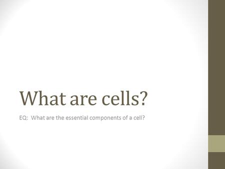 What are cells? EQ: What are the essential components of a cell?
