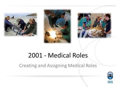 2001 - Medical Roles Creating and Assigning Medical Roles.