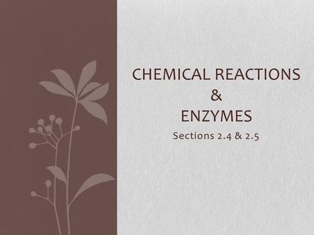 Sections 2.4 & 2.5 CHEMICAL REACTIONS & ENZYMES. 2.4 Chemical Reactions Key Concept: Life depends on chemical reactions.