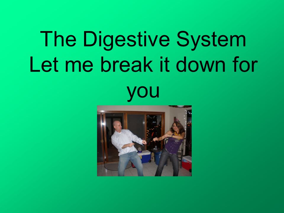 The Digestive System Let Me Break It Down For You Ppt Download The Digestive System Let Me Break It Down For You Ppt Download