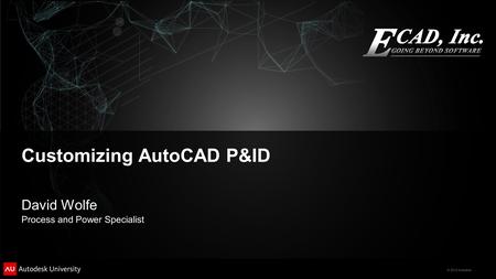 © 2012 Autodesk Customizing AutoCAD P&ID David Wolfe Process and Power Specialist.
