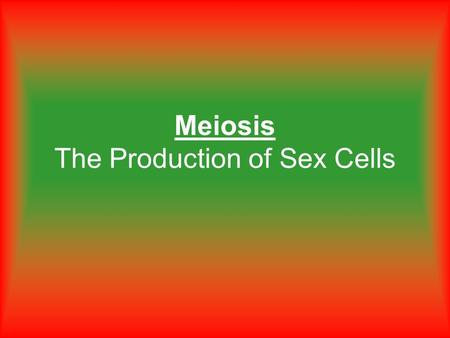 Meiosis The Production of Sex Cells. How many chromosomes does a human body cell have? 46.