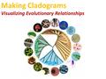 Making Cladograms Visualizing Evolutionary Relationships.