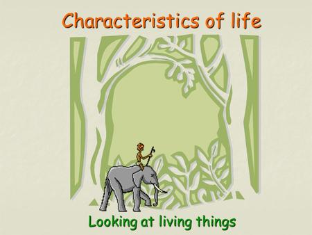 Characteristics of life Characteristics of lifeLooking at living things.