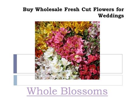 Buy Wholesale Fresh Cut Flowers for Weddings Whole Blossoms.
