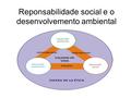 Reponsabilidade social e o desenvolvemento ambiental.