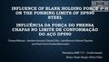 INFLUENCE OF BLANK HOLDING FORCE ON THE FORMING LIMITS OF DP590 STEEL Chetan Nikhare1, Ravilson Antonio Chemin Filho, Luiz Mauricio Valente Tigrinho and.