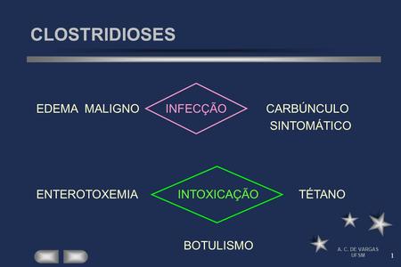 1 CLOSTRIDIOSES A. C. DE VARGAS UFSM EDEMA MALIGNO INFECÇÃO CARBÚNCULO SINTOMÁTICO ENTEROTOXEMIA INTOXICAÇÃO TÉTANO BOTULISMO.
