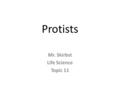 Protists Mr. Skirbst Life Science Topic 11. Protists.