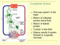 1 Lymphatic System One way system: to the heart Return of collected excess tissue fluid Return of leaked protein “Lymph” is this fluid Edema results if.