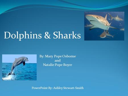 Dolphins & Sharks By: Mary Pope Osborne and Natalie Pope Boyce PowerPoint By: Ashley Stewart-Smith.