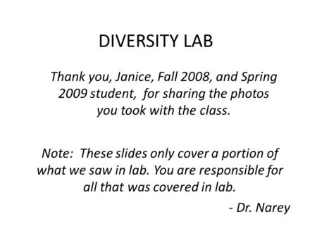 DIVERSITY LAB Thank you, Janice, Fall 2008, and Spring 2009 student, for sharing the photos you took with the class. Note: These slides only cover a portion.