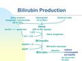 Bilirubin Production Eric Niederhoffer SIU-SOM Heme (250 to 400 mg/day) Heme oxygenase Biliverdin reductase Hemoglobin (70 to 80%) Erythroid cellsHeme.