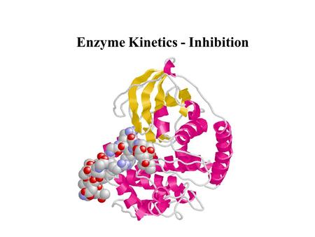 Enzyme Kinetics - Inhibition. Types of Inhibition Competitive Inhibition Noncompetitive Inhibition Uncompetitive Inhibition Irreversible Inhibition.