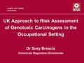 Health and Safety Executive UK Approach to Risk Assessment of Genotoxic Carcinogens in the Occupational Setting Dr Susy Brescia Chemicals Regulation Directorate.