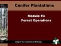 Conifer Plantation Management Caring for Your Land Series of Workshops Conifer Plantations Module #3 Forest Operations 3-1.