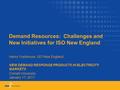 Demand Resources: Challenges and New Initiatives for ISO New England Henry Yoshimura, ISO New England NEW DEMAND RESPONSE PRODUCTS IN ELECTRICITY MARKETS.