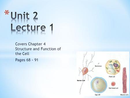 Covers Chapter 4 Structure and Function of the Cell Pages 68 - 91.