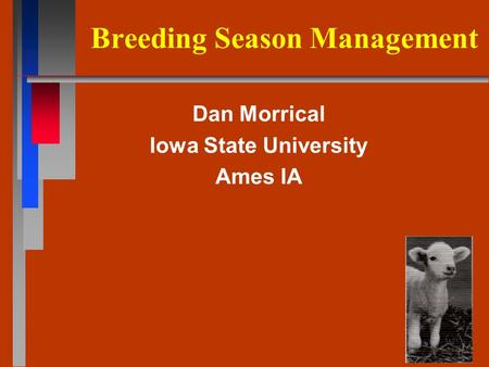 Breeding Season Management Dan Morrical Iowa State University Ames IA.