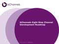 BChannels Eight Step Channel Development Roadmap FOCUS. PEOPLE. COMPETENCY.