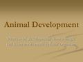 Animal Development Process of development from a single cell to an entire multi-cellular organism.