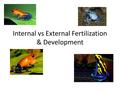 Internal vs External Fertilization & Development.