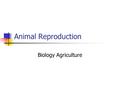 Animal Reproduction Biology Agriculture. Reproductive System Ovaries Female reproductive gland in which eggs are formed and hormones are produced. Testes.