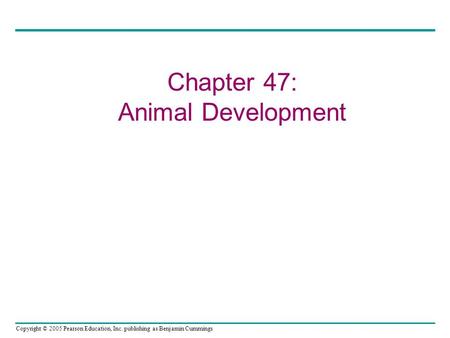 Copyright © 2005 Pearson Education, Inc. publishing as Benjamin Cummings Chapter 47: Animal Development.